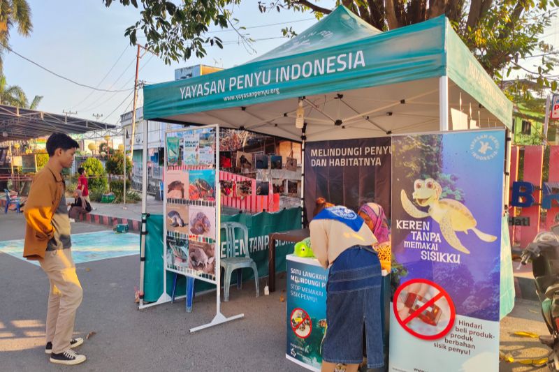 Anti-Schildpatt-Stand anlässlich der Turtle Week, Luwuk, Banggai, Indonesien
