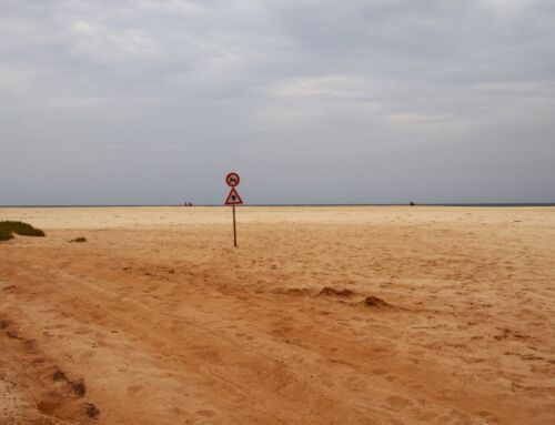 Excessive tourism on the nesting beaches