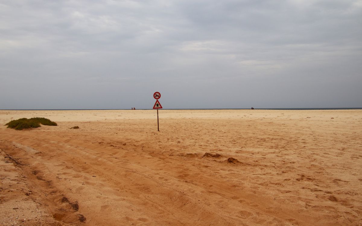 Reifenspuren an einem für Fahrzeuge verbotenen Strandabschnitt, Boa Vista, Kapverden